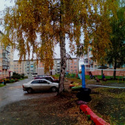 large_molodezh11.jpg