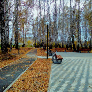 large_img_20181003_122539.jpg