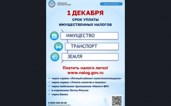 ⚡Федеральная налоговая служба напоминает о необходимости уплаты имущественных налогов до 1 декабря 2024 года