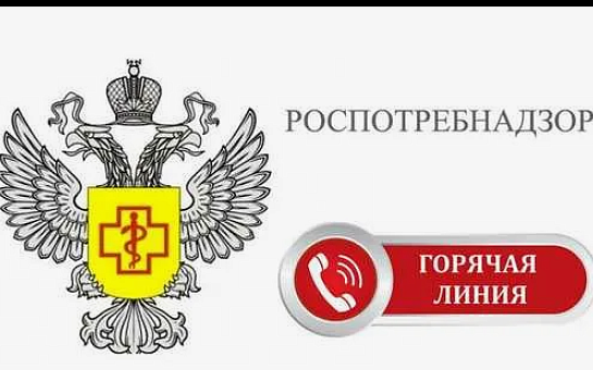 С 26 мая по 6 июня 2025 года будет организована работа «горячей линии» 
