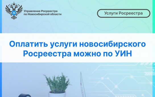 Оплатить услуги новосибирского Росреестра можно по УИН